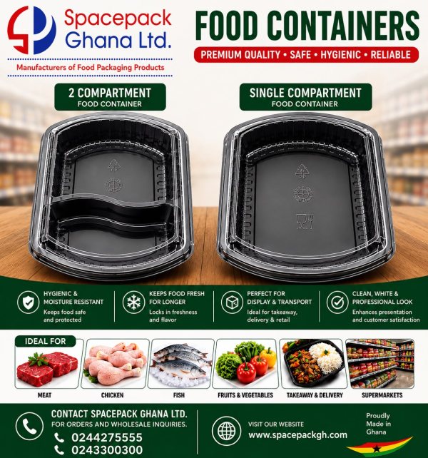 Food Container 2